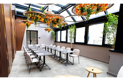 Konferenční židle - konferenční židle Mentha Pop