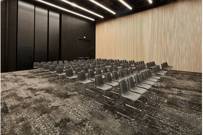 Konferenční židle - konferenční židle Zebra Pop